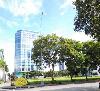 Commercial Lot for Lease in Alabang, Muntinlupa